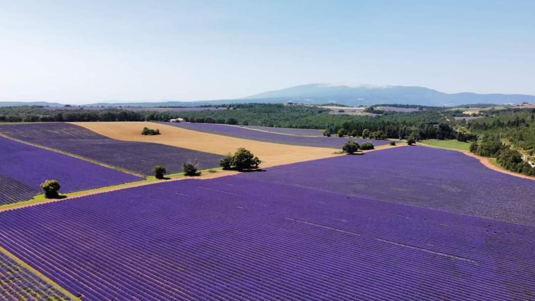 Cote Terrasse Διαμέρισμα Apt Εξωτερικό φωτογραφία